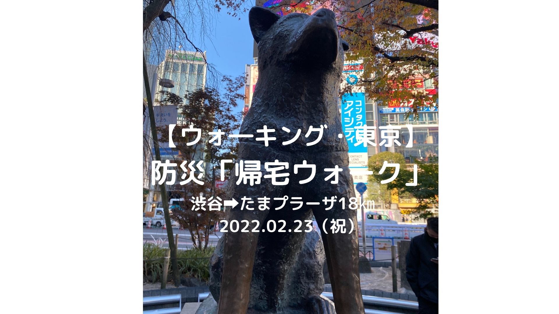 【ウォーキング・東京】防災「帰宅ウォーク」渋谷➡たまプラーザ18㎞　2022.02.23（祝）